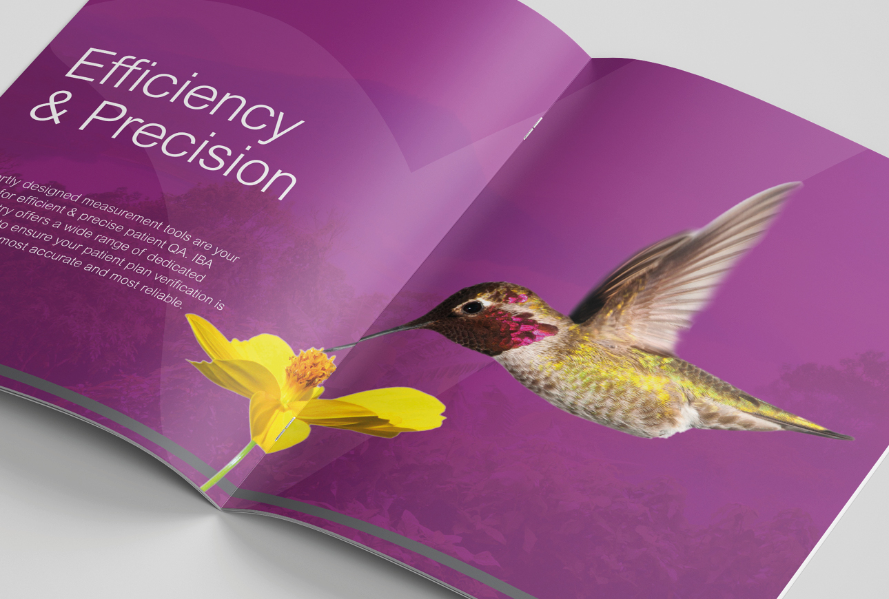 IBA brochure literature design