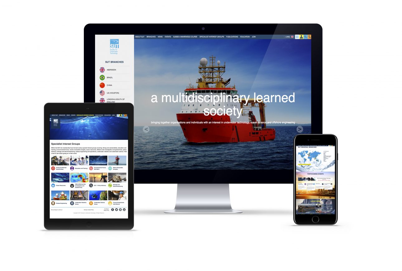 website portfolio: SUT website