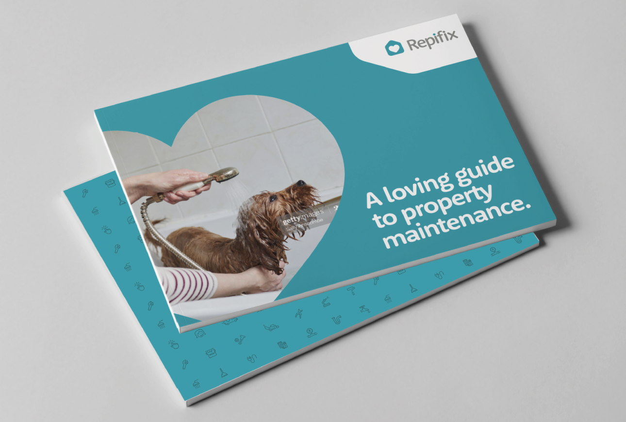 Repifix brochure new branding